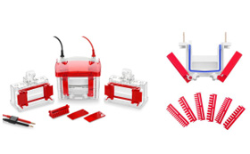 WIX-miniPRO2 迷你垂直电泳槽