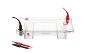 WIX-liteDNA  通用水平电泳槽