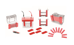 1560149114571116.jpg 04.jpg